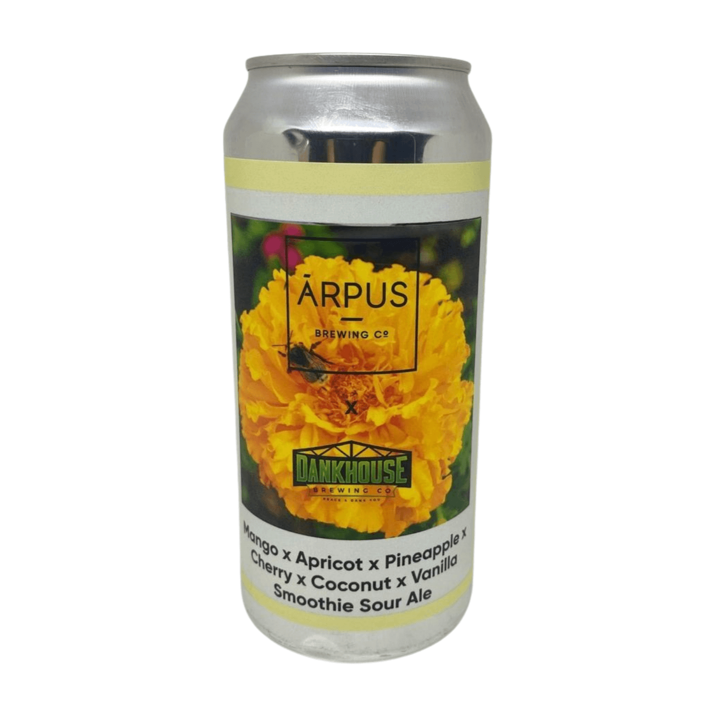 Smoothie Arpus Acidulé
