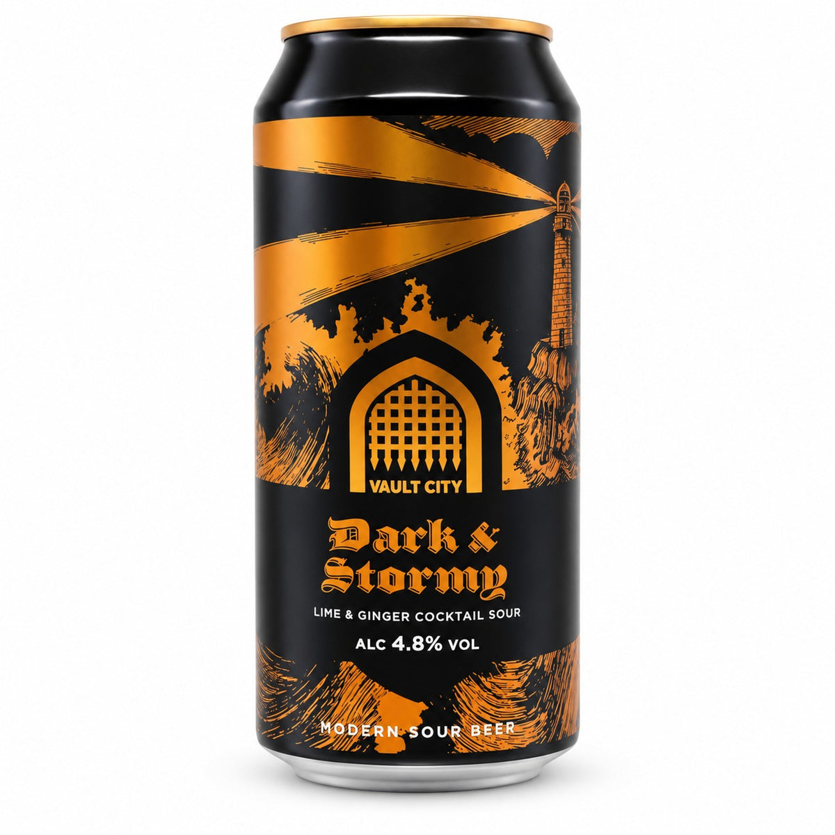 Vault City Dark & Stormy Fruited Sour