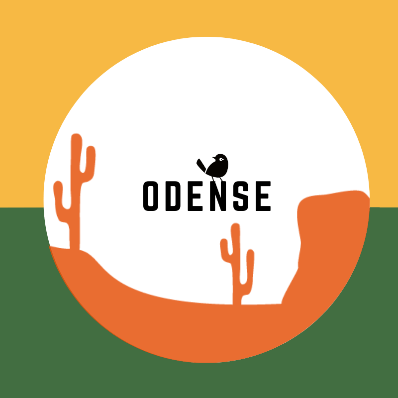 Håndværksøl i Odense | 800+ øl hos Verdins Specialøl Butik