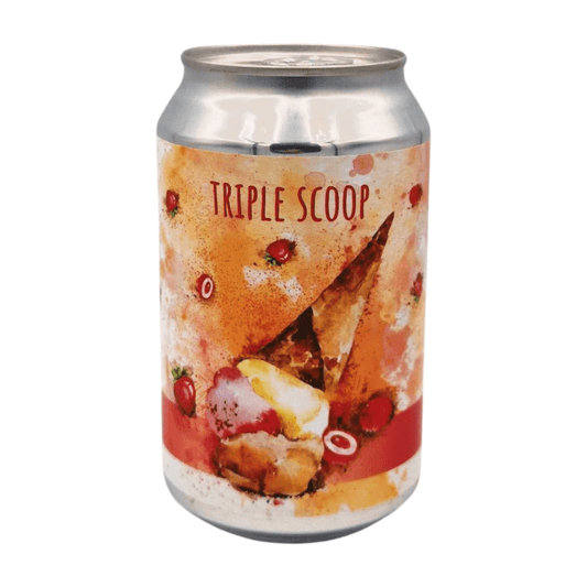 Alchemik Triple Scoop | Fruited Sour Webshop Online Verdins Bierwinkel Rotterdam