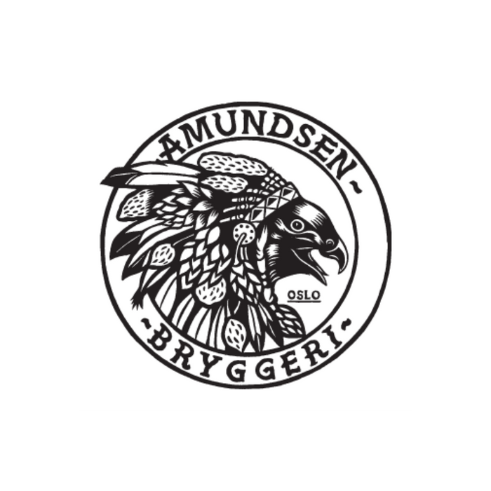 Amundsen Brauerei – Spezialitätenbier aus Norwegen | Verdins.nl