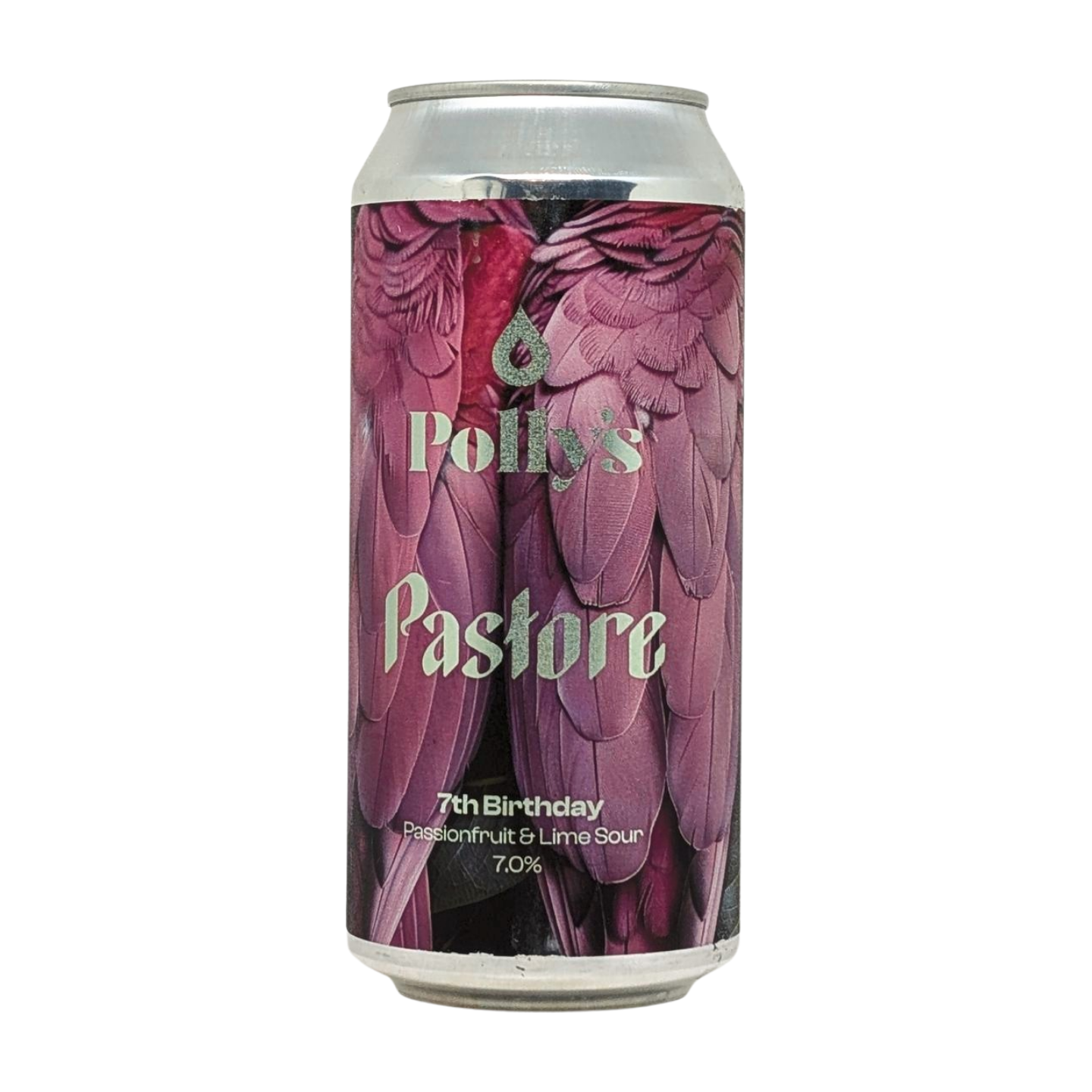 Polly's x Lost Pastore 7e anniversaire | Bière acidulée aux fruits